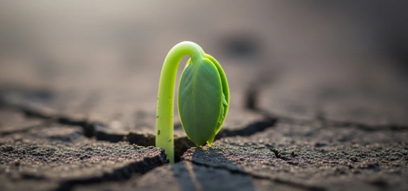 Featured image for 生活中的小确幸